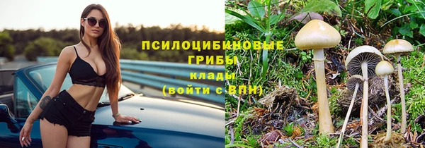 соль курить ск Арсеньев