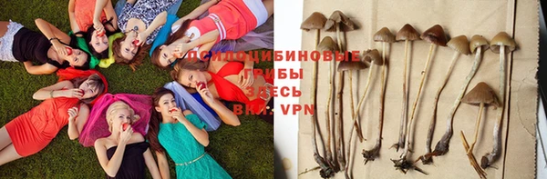 амфетамин Армянск