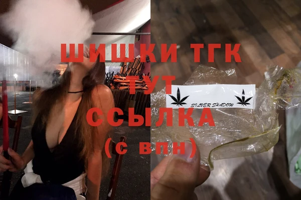 гашик Балахна