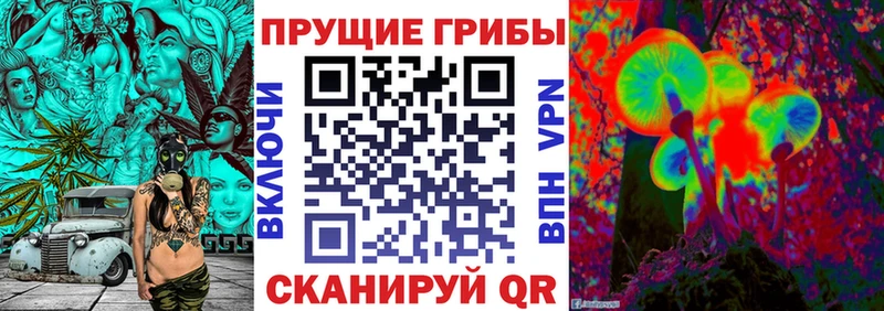 Галлюциногенные грибы Psilocybe  Купить где  Змеиногорск 