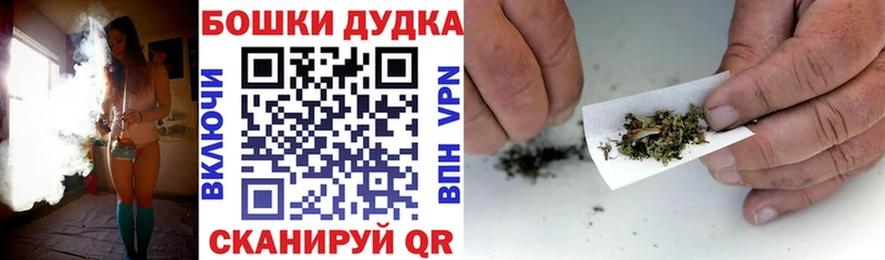 Каннабис план  Купить  Змеиногорск 